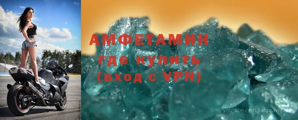 прущие грибы Няндома