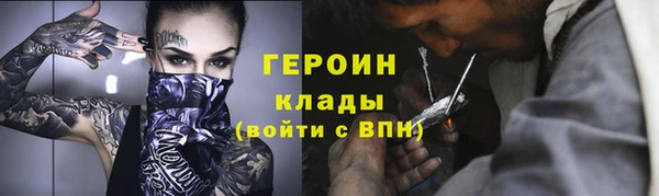 прущие грибы Няндома