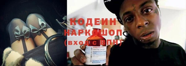 шишки Щигры