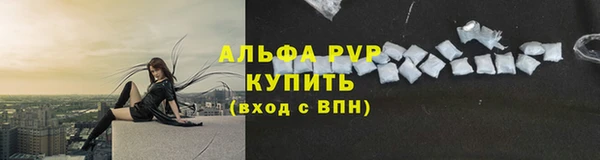 прущие грибы Няндома