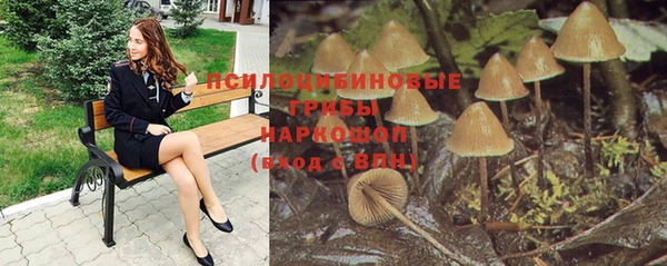 а пвп мука Осинники