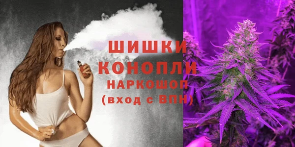 прущие грибы Няндома