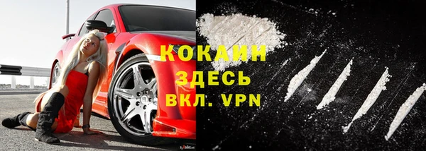 прущие грибы Няндома