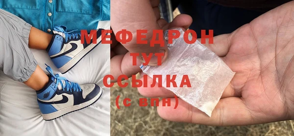 прущие грибы Няндома