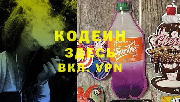 прущие грибы Няндома