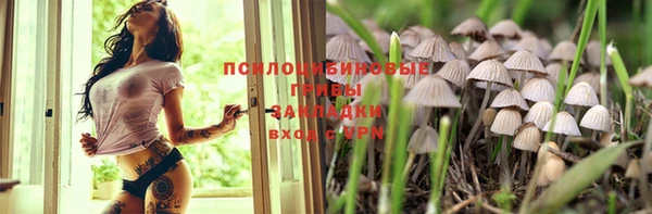прущие грибы Няндома